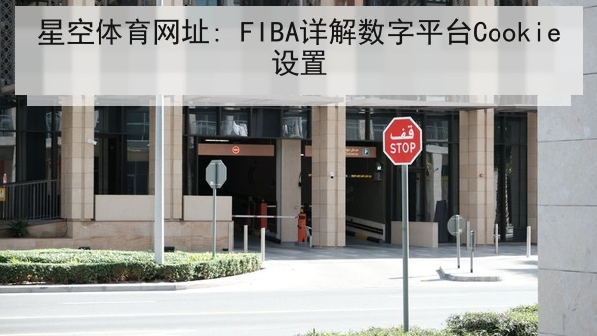 星空体育网址: FIBA详解数字平台Cookie设置