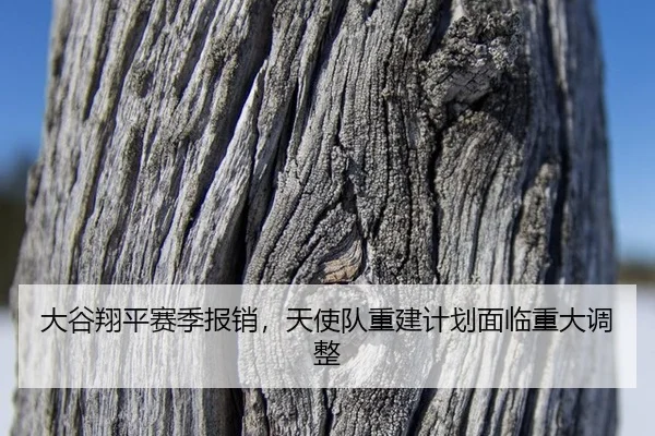 da-gu-xiang-ping-sai-ji-bao-xiao-tian-shi-dui-chong-jian-ji-hua-mian-lin-zhong-da-tiao-zheng-2-183.jpg