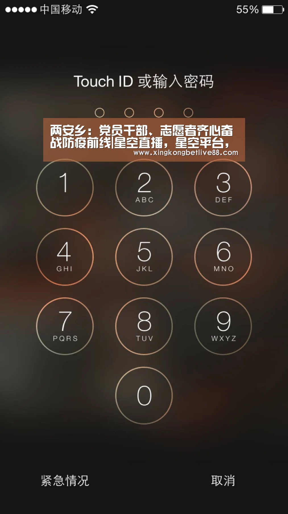 两安乡:党员干部、志愿者齐心奋战防疫前线|星空直播,星空平台,星空官网,星空体育(图1) 星空直播,星空平台,星空官网,星空体育