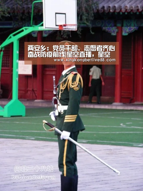 两安乡:党员干部、志愿者齐心奋战防疫前线|星空直播,星空平台,星空官网,星空体育(图3) 星空直播,星空平台,星空官网,星空体育